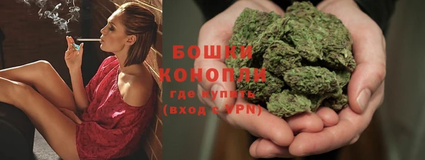 твердый Новозыбков